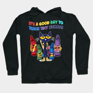 It's A Good Day To Teach Tiny Humans Cat Teacher Lover Hoodie